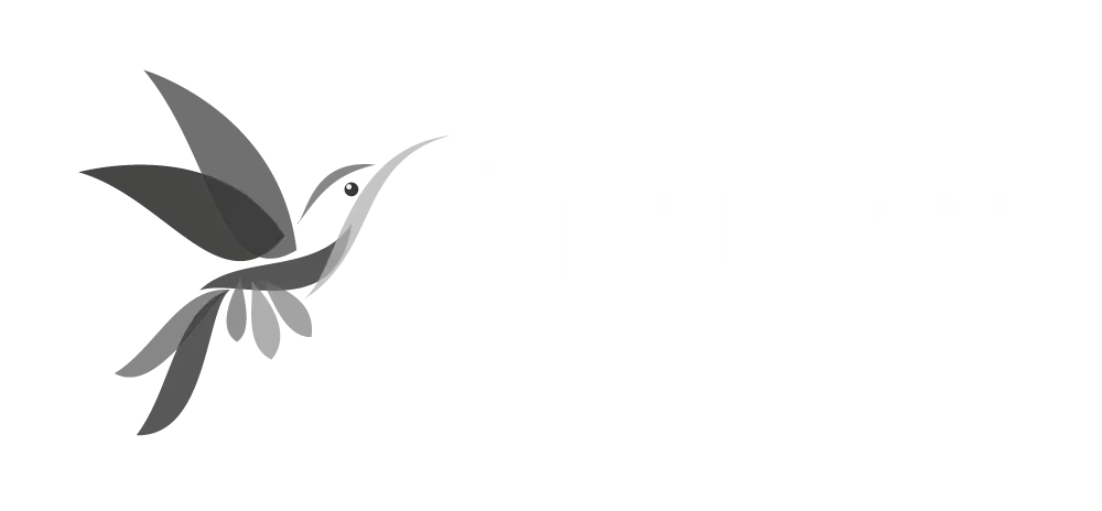 Tours naturalistes et safaris photo au Costa Rica