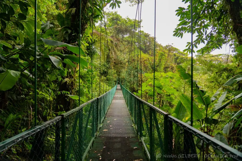 Tours naturalistes et safaris photo au Costa Rica