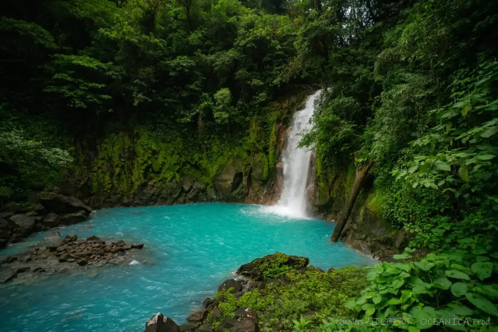 Tours naturalistes et safaris photo au Costa Rica